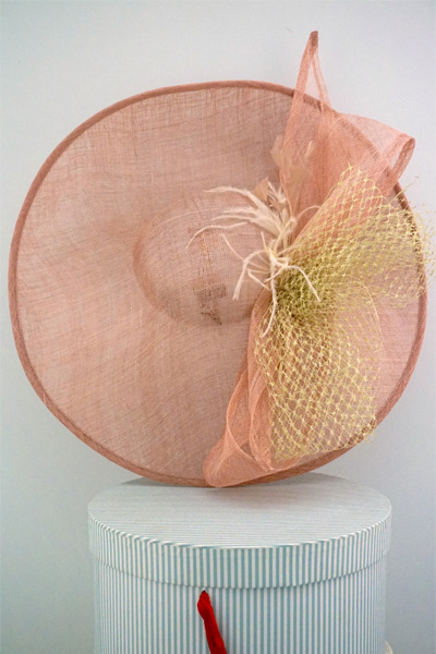 Pamela ala levantada nude