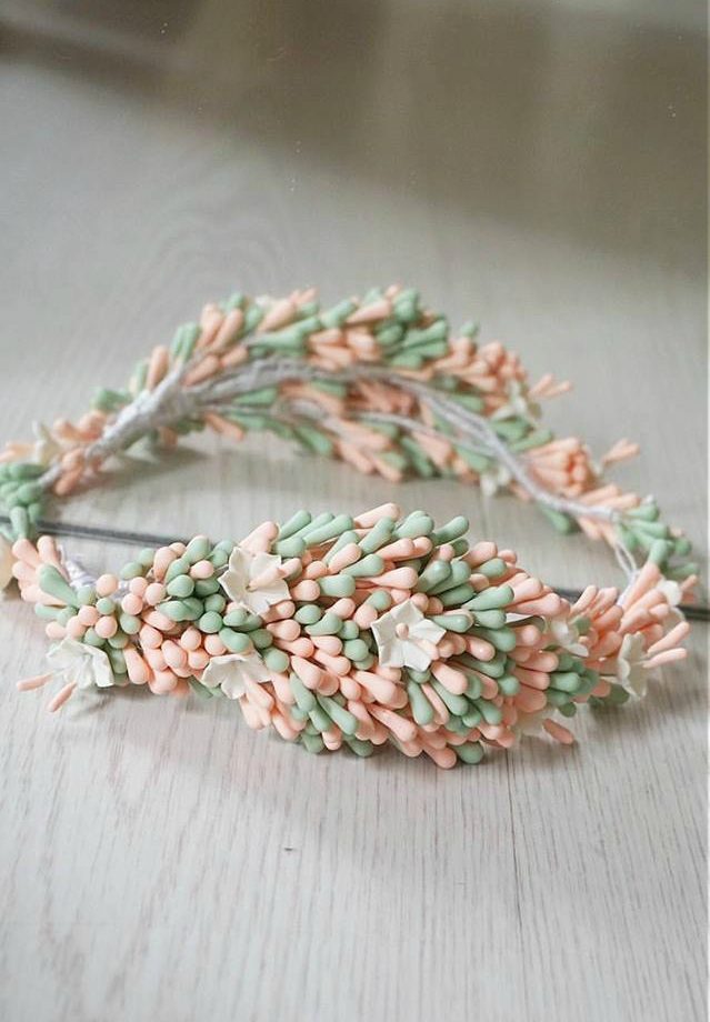 Semillas mint y coral